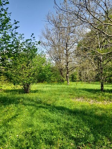 Torpaq sahələrinin satışı: 30 sot, Kənd təsərrüfatı, Mülkiyyətçi, Kupça (Çıxarış) -da lalafo.az — 8 Torpaq sahələrinin satışı: 30 sot, Kənd təsərrüfatı, Mülkiyyətçi, Kupça (Çıxarış) — 8