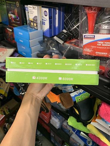led h4: Светодиодные автомобильные лампы NEW LIGHT LED Headlight M8PRO - Тип — 2