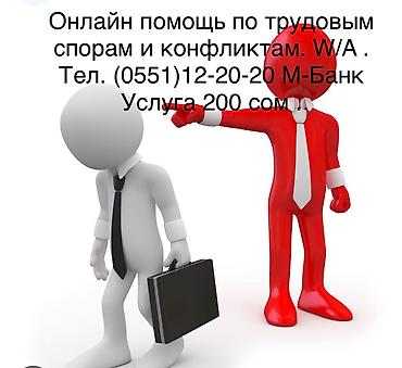 anydesk com: Онлайн-консультация по гражданским и уголовным делам в суде. Услуга — 3