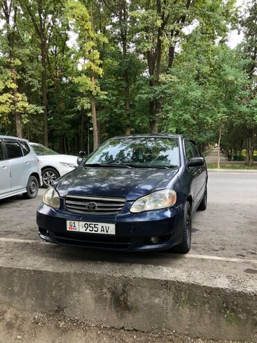 панель торпедо камри 30: Toyota Corolla: 2003 г., 1.6 л, Автомат, Бензин, Седан