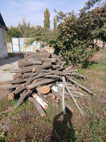 продаётся овес: Отун