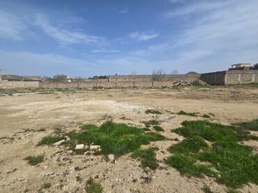 Torpaq sahələrinin satışı: 25 sot, Tikinti, Mülkiyyətçi, Kupça (Çıxarış) -da lalafo.az — 8 Torpaq sahələrinin satışı: 25 sot, Tikinti, Mülkiyyətçi, Kupça (Çıxarış) — 8