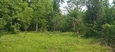 sekide torpaq satilir: 10 sot, Tikinti, Kupça (Çıxarış) — 1