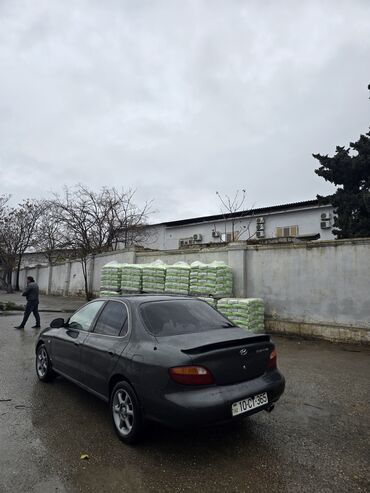 Hyundai: Hyundai Elantra: 1.6 l | 1996 il Sedan — 6