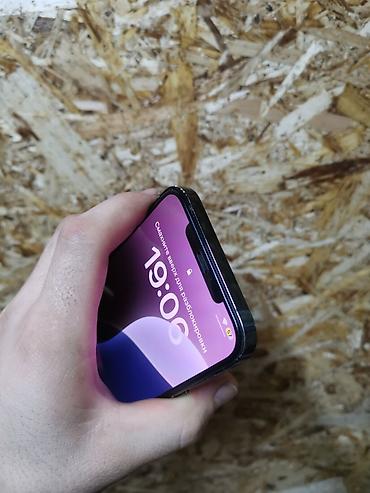 Apple iPhone: IPhone 12 Pro Max, Б/у, 128 ГБ, Защитное стекло, Чехол, 76 % — 10