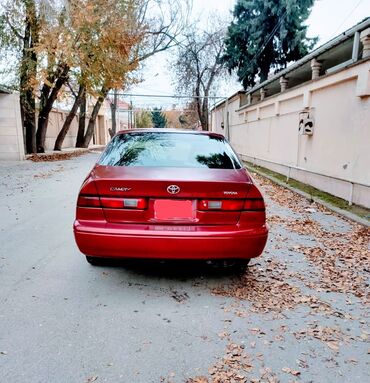 покрышки в баку цены: Toyota Camry: 2.2 л | 1999 г. Седан