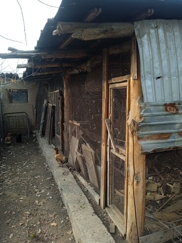 Продажа домов: Дом, 162 м², 5 комнат, Собственник, ПСО (под самоотделку) — 12