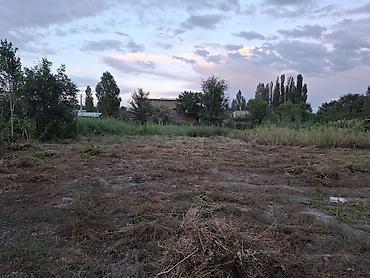 Дома: Продаётся жилой дом с участком и садом. - Дом одноэтажный с мансардой — 10