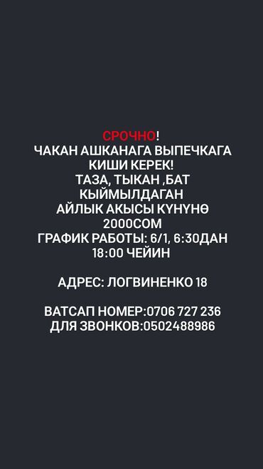 я ищу работа помощника повар: Требуется Посудомойщица, Оплата Ежедневно