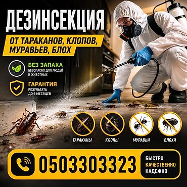 Клининговые услуги: Дезинфекция, дезинсекция, | Клопы, Блохи, Тараканы, | Офисы, Квартиры, Дома — 1