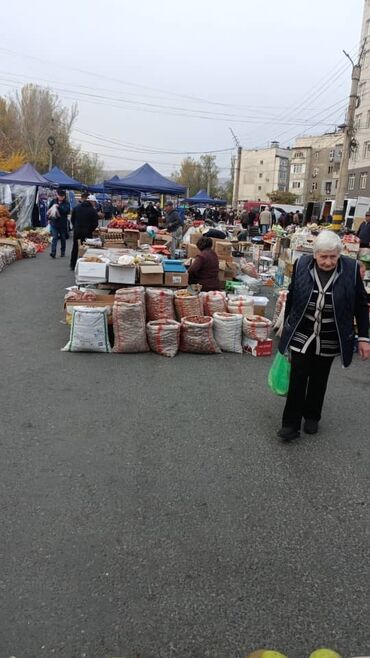 мешки для овощей: Ассортимент фермерского рынка под открытым небом. - Овощи и фрукты с