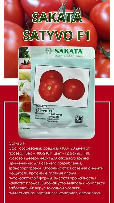 Другие овощные культуры: Семена овощных культур SAKATA (профессиональная серия, фасовка по 1000 — 20