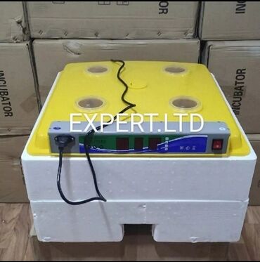 Digər quşlar: Smart-rejimli inkubatorlar satılır. Aparatlar tam olaraq avtomat, və — 23