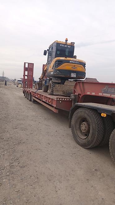 Услуги экскаватора: Экскаватор | Выкорчевывание пней — 6