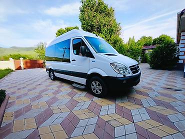 daf даф: Транспортные перевозки по всему региону — 2