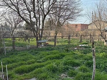 gencede ev: Bakı, Novxanı, 220 kv. m, 8 otaq, Hovuzlu — 3