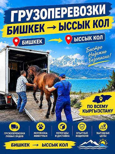 калды сай: Грузоперевозки Бишкек → Иссык-Куль - По всему Кыргызстану - — 1