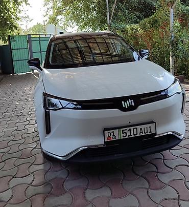 Weltmeister: Weltmeister W6, 2021 г., В наличии — 1