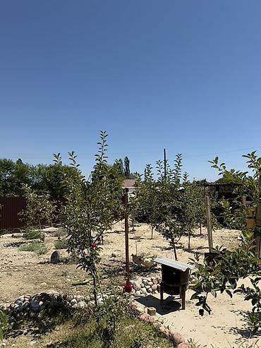 Продажа коттеджей и домов: 6 комнат и более, 320 м², 10 соток, Бостери, Собственник — 26