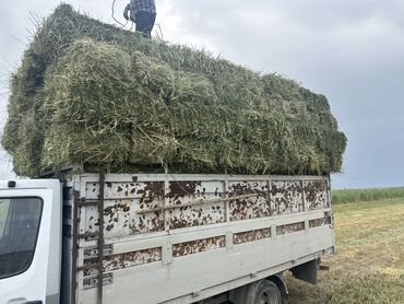Товары и оборудование для с/х животных: 230 с доставкой 
Кара Балта