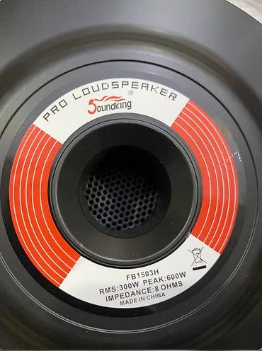 Soundking FB1503H professional bas dinamik - Çap: 15" - Güc: RMS