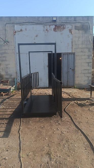 Digər kənd təssərüfat avadanlığı: Canlı inək, at, qoyun, keçi və digər heyvanların çəkisi üçün xüsusi — 4