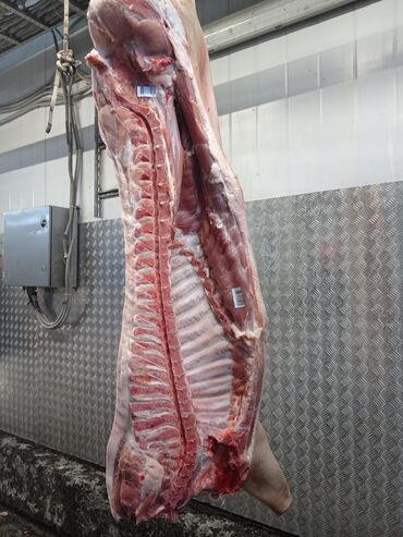 Здравствуйте продаем мясо Свина По 280 сом Туши, полутуши, задняя
