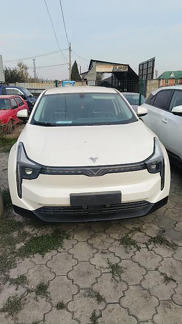 rx 350 2021: BYD : 2022 г., Автомат, Электромобиль, Кроссовер — 1