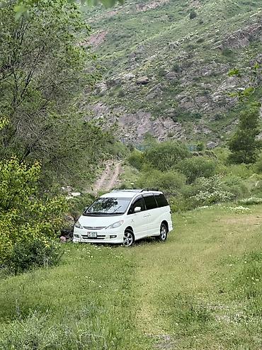 tsunami купить: Toyota Estima: 2002 г., 3 л, Автомат, Газ, Минивэн — 5