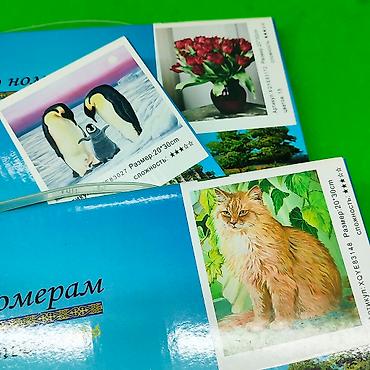 тигр: Картина по номерам уровень 3 в ассортименте 🖼️ Позвольте ребенку — 3