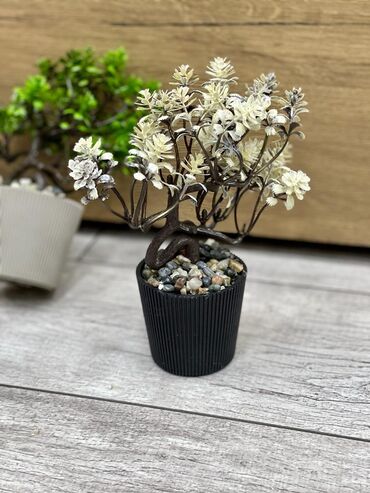 Süni güllər: Dekor dibçekler — 27