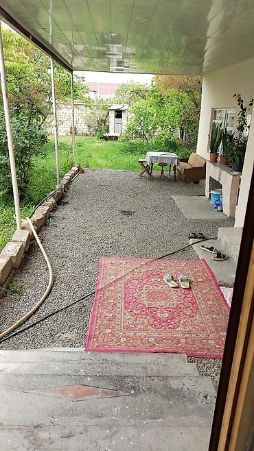 kiraye evler gəncə: Gəncə kirayə möhtəşəm məhlə evi diz məktəbin yanında yolun üstündə 6/7 — 1