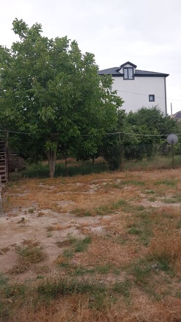 xacmaz kiraye: 8 sot, Kupça (Çıxarış)