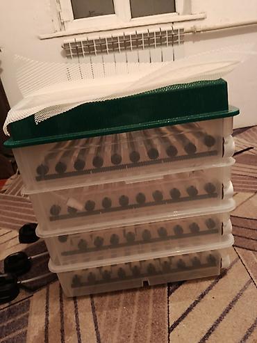 Инкубаторы: Полностью автоматический инкубатор для яиц с цифровым управлением — 5