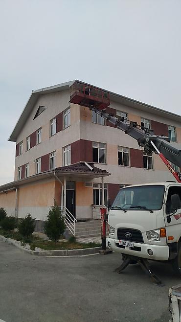 210 дерево: Стрела 25 м, 300 т — 3