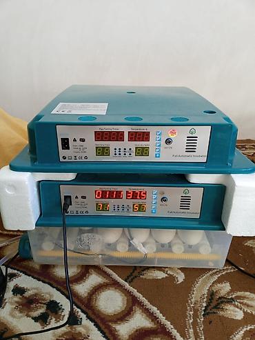 ınqbator: Bu tam avtomatik inkubator yumurtaların inkubasiyası üçün nəzərdə — 3