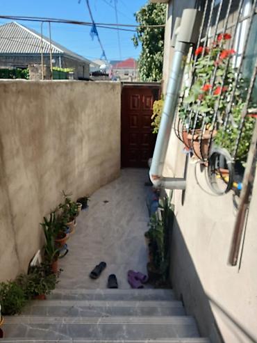 Həyət evləri və villaların satışı: Satılır: həyət evi Bine qesebe merkeze yaxın kanal korpusun kecen kimi — 13