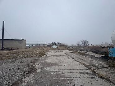 тупик: Завод, Действующий, С оборудованием, 1410 м² — 6