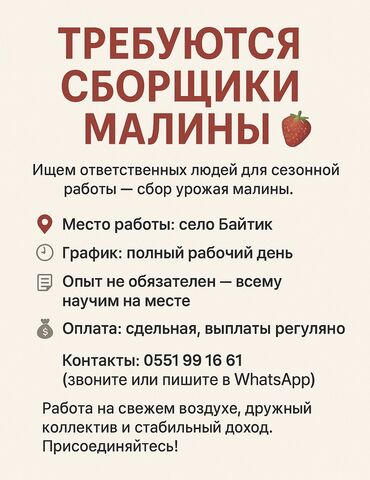 работа в интернете без вложений с ежедневной оплатой на карту: Требуется Сборщик урожая, Оплата Ежедневно, Питание