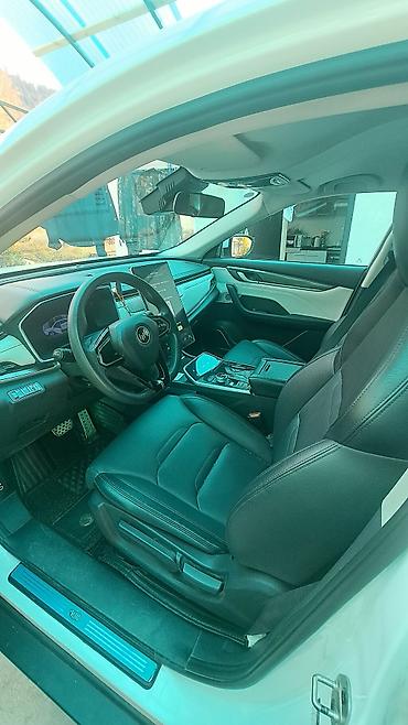 лексус lx350: Weltmeister EX5, 2021 г., 112000 км, Передний — 6