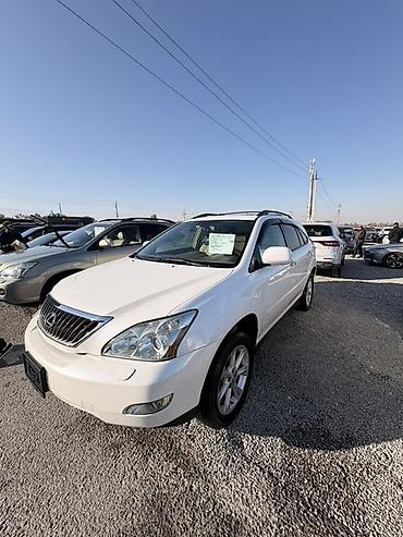 195 65 14 с: Lexus RX: 2008 г., 3.5 л, Автомат, Бензин, Кроссовер — 3
