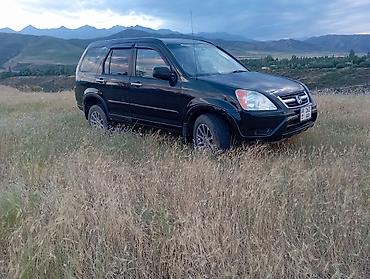 срв 2012: Honda CR-V: 2003 г., 2.4 л, Автомат, Кроссовер — 4