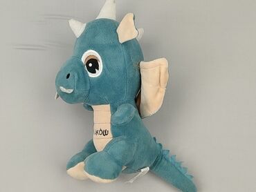 koszulka z autografem lewandowskiego: Mascot condition - Good