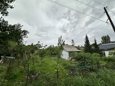 рок магазин бишкек: 6 соток, Курулуш, Кызыл китеп, Техпаспорт, Сатып алуу-сатуу келишими