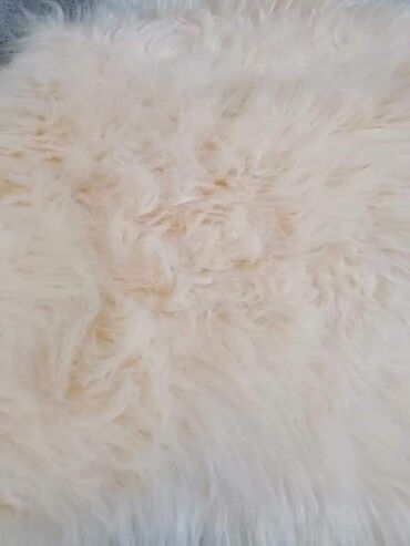 Tepisi i prostirke: Tepih — 7