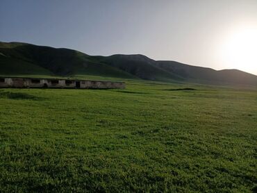 Сельхоз предприятия: Продаю Кошара, 50 соток, Действующий, Без оборудования, Электричество — 37