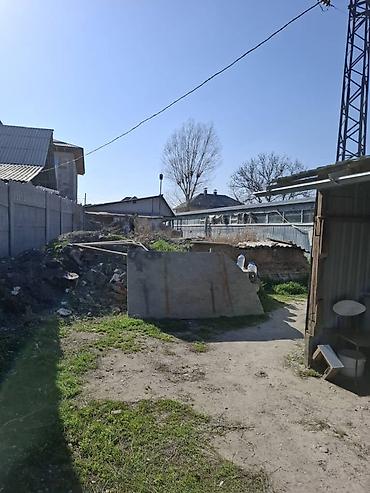 локация: 6 соток, Для бизнеса, Красная книга, Договор купли-продажи — 4