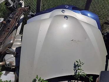 nalepnice za ratkapne: HAUBE ZA RENAULT LAGUNA — 1