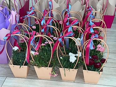 Каланхоэ: Каланхоэ в декоративном пакете‑кашпо “Specially” - Живые горшечные — 16