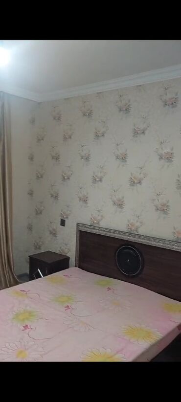 Uzunmüddətli kirayə evlər: 40 kv. m, 1 otaqlı, Kombi, Qaz, İşıq — 9